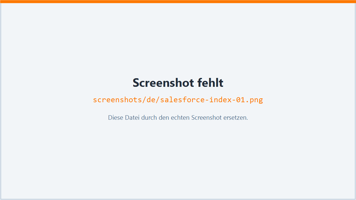 NCS-SalesForce im Überblick